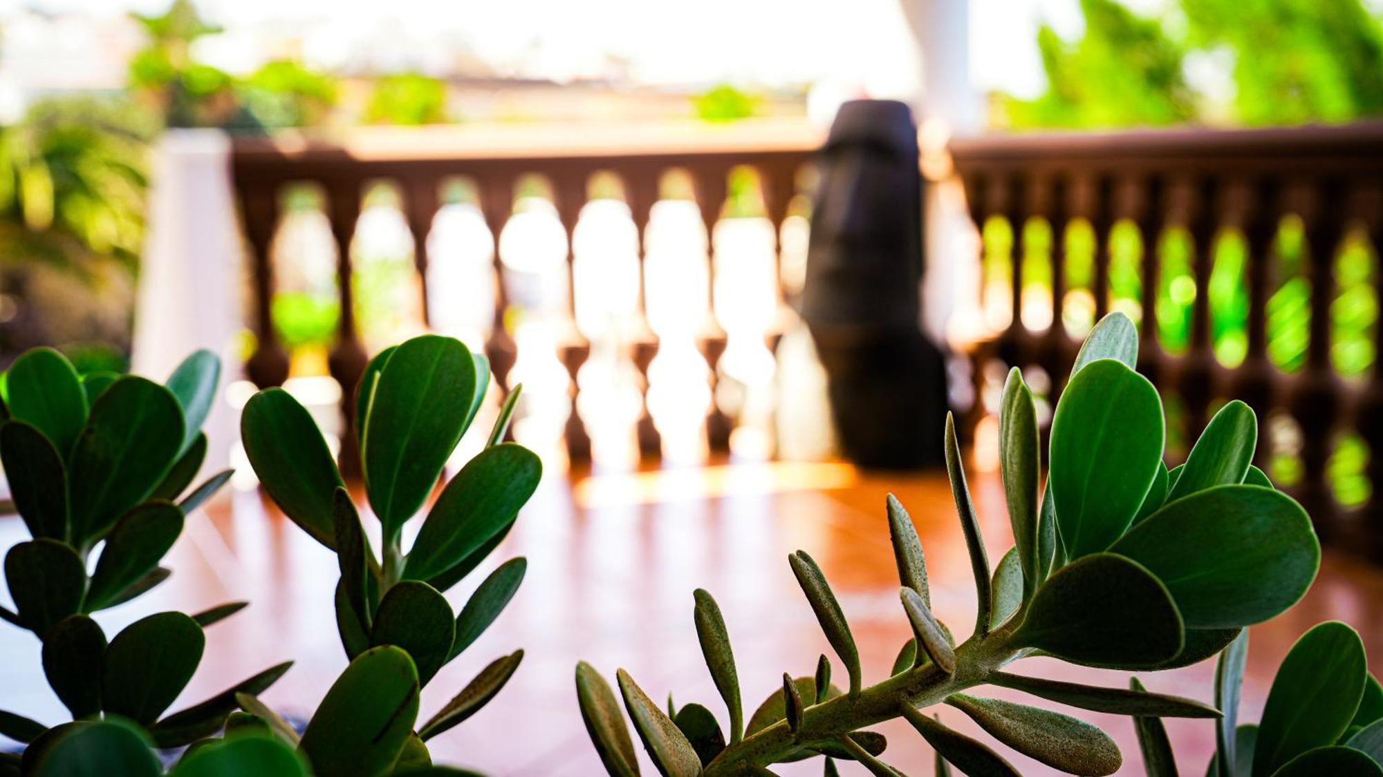 Villa Azul Fuerteventura Villaverde  Exteriér fotografie