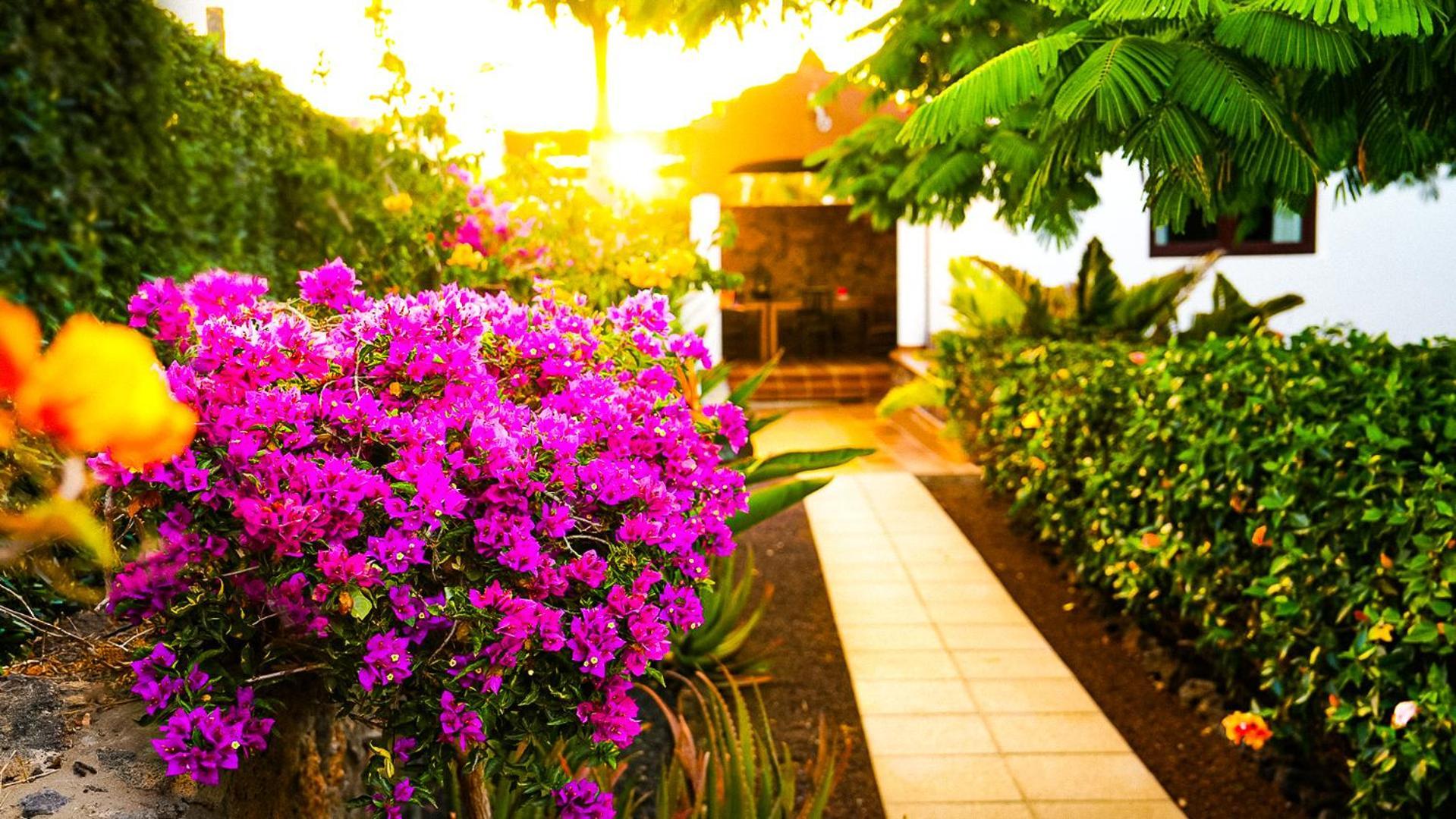 Villa Azul Fuerteventura Villaverde  Exteriér fotografie