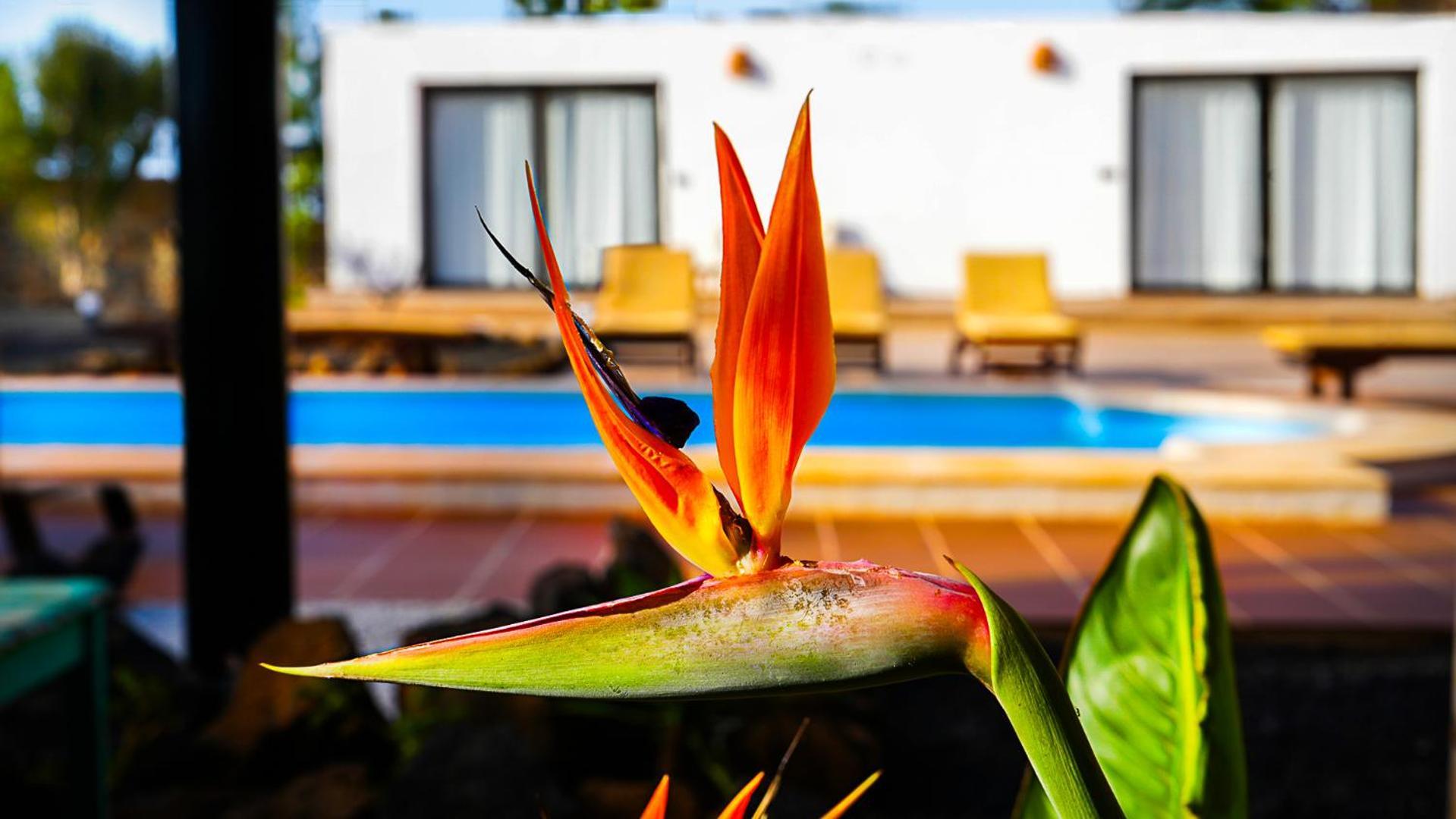 Villa Azul Fuerteventura Villaverde  Exteriér fotografie